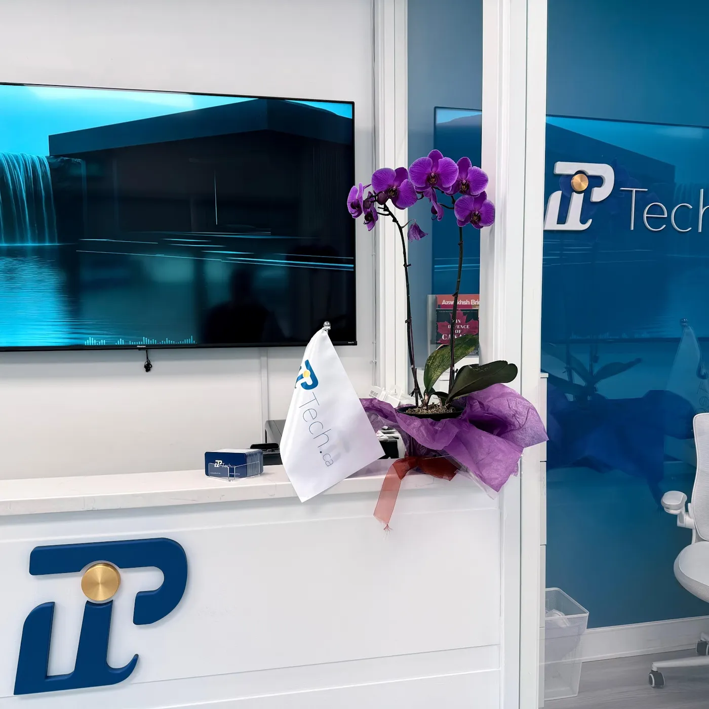 PiTech reception desk with orchid and illuminated PiTech logo at the Marine Drive office